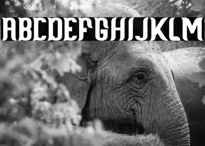 Scientist Castle Font examples