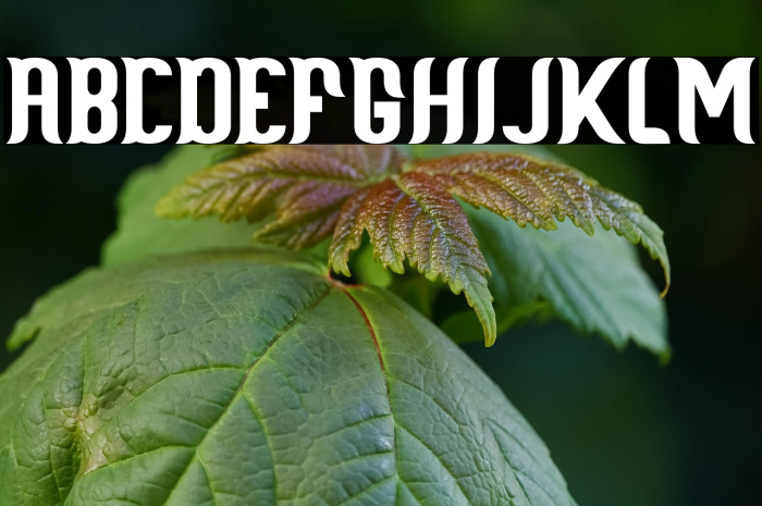 Scientist Castle Example 3