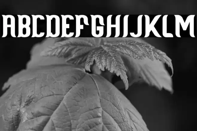 Scientist Castle Font examples