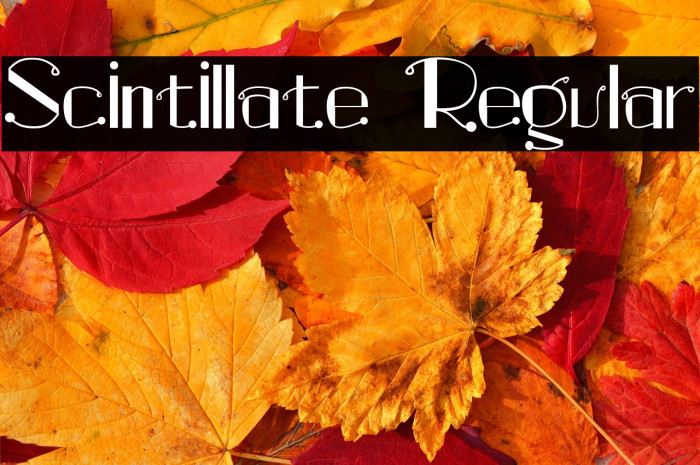 Scintillate Regular Example 1