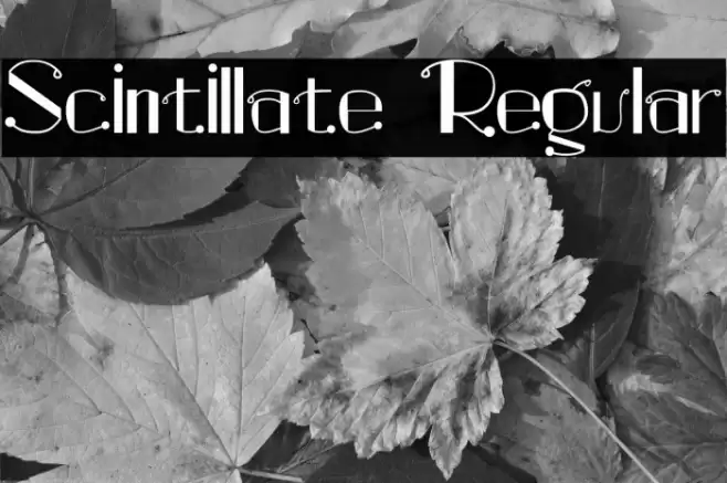 Scintillate Regular Font examples