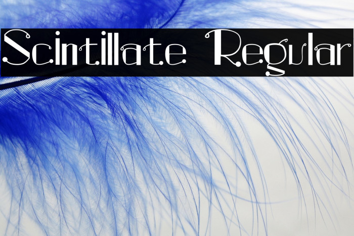 Scintillate Regular Example 2