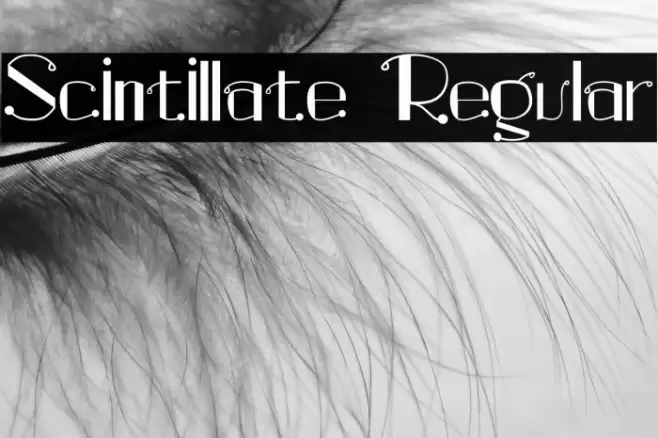 Scintillate Regular Font examples