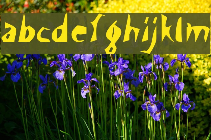 Scissor Cuts Font examples