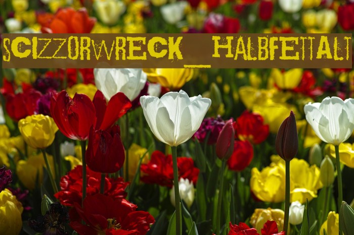 Scizzorwreck_HalbfettAlt Font examples