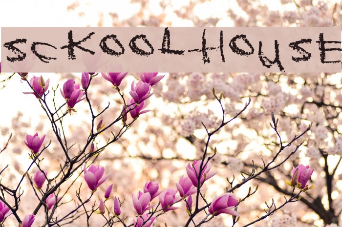 Sckoolhouse Schriftart examples