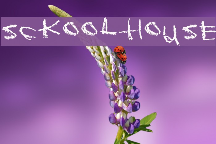 Sckoolhouse Schriftart examples