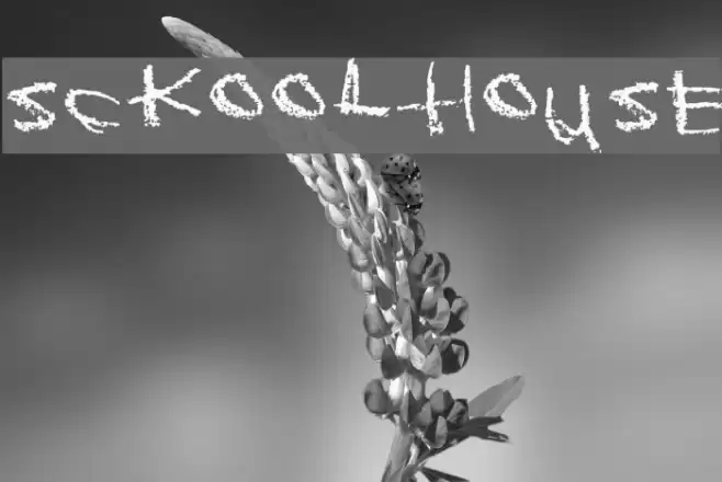 Sckoolhouse Schriftart examples