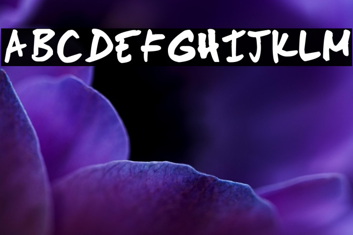 Scoder Hand Example 2