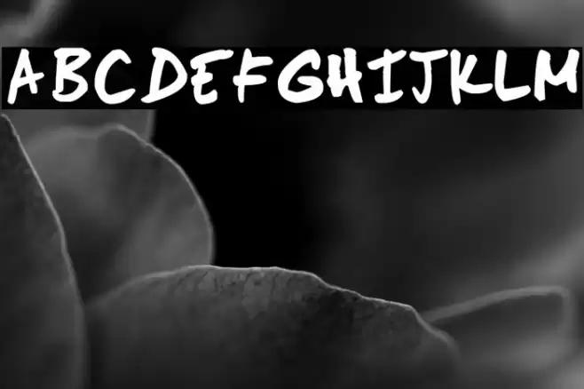 Scoder Hand Font examples