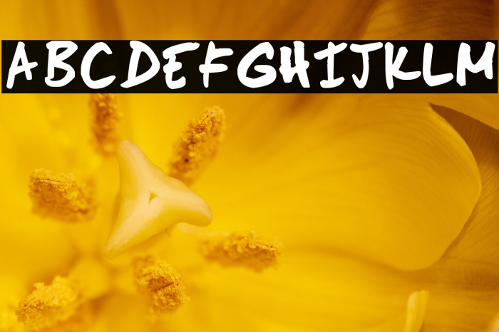 Scoder Hand Example 3