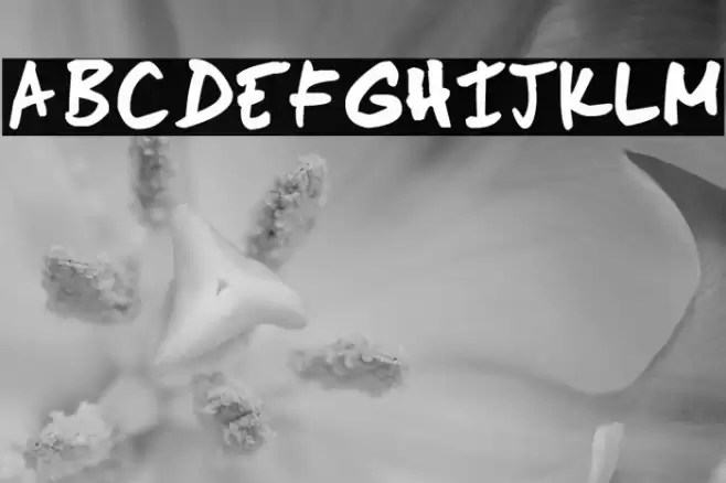 Scoder Hand Font examples