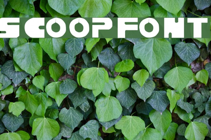 Scoop Font examples