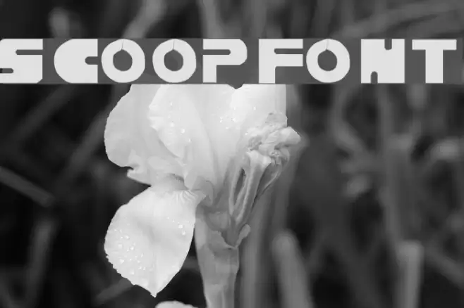 Scoop Font examples