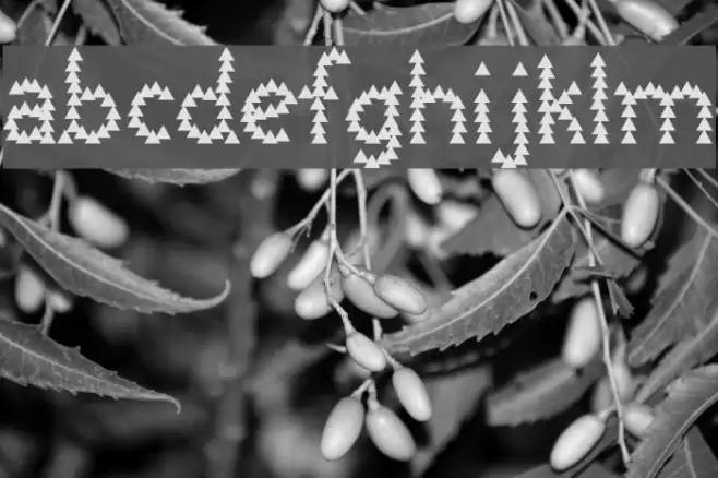 Scooter Boy Free Font examples