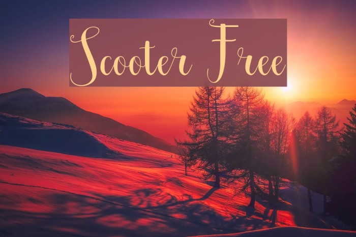 Scooter Free Font examples