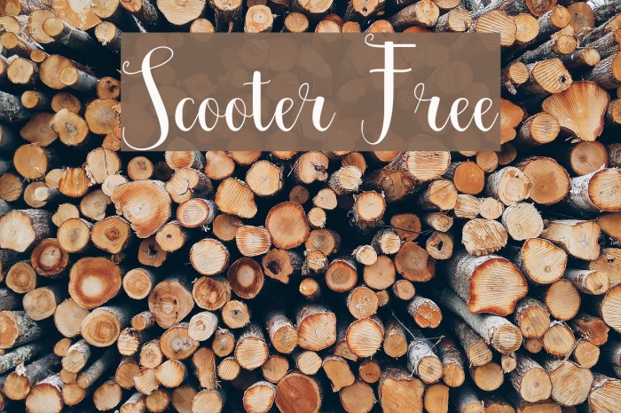 Scooter Free Font examples