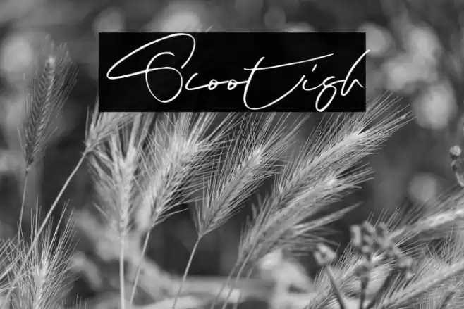 Scootish Font examples