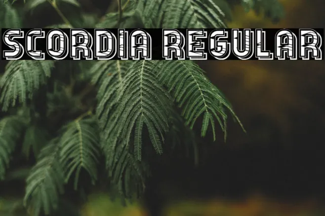 Scordia Regular Example 1