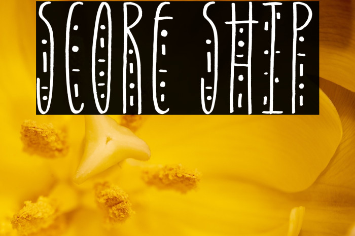 Score Ship Example 3