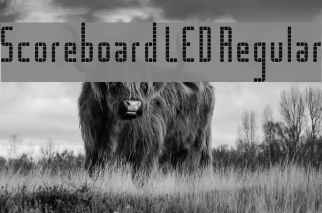 Scoreboard LED Regular Font examples