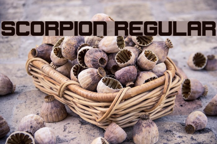 Scorpion Regular Font examples