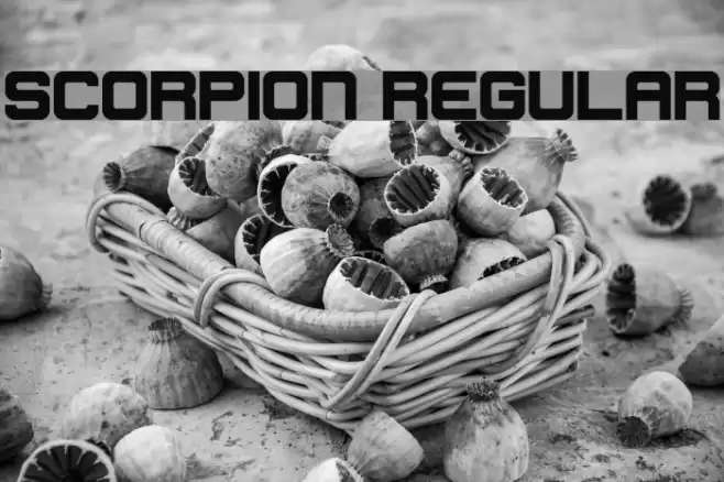 Scorpion Regular Font examples