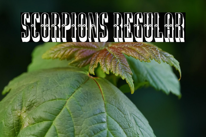 Scorpions Regular Example 2