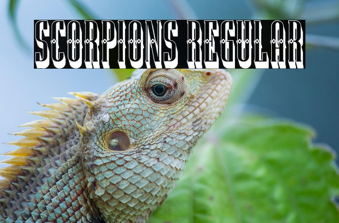 Scorpions Regular Example 3