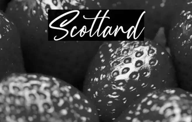 Scotland Font examples