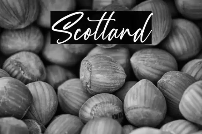 Scotland Font examples