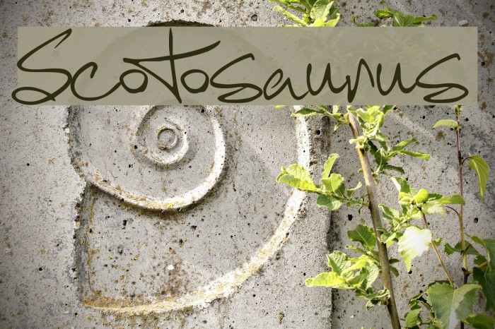 Scotosaurus Example 1