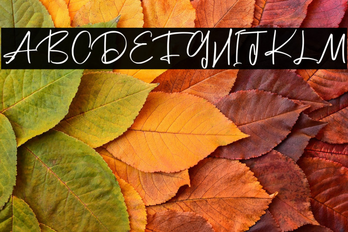 Scott Pilgrim Example 2