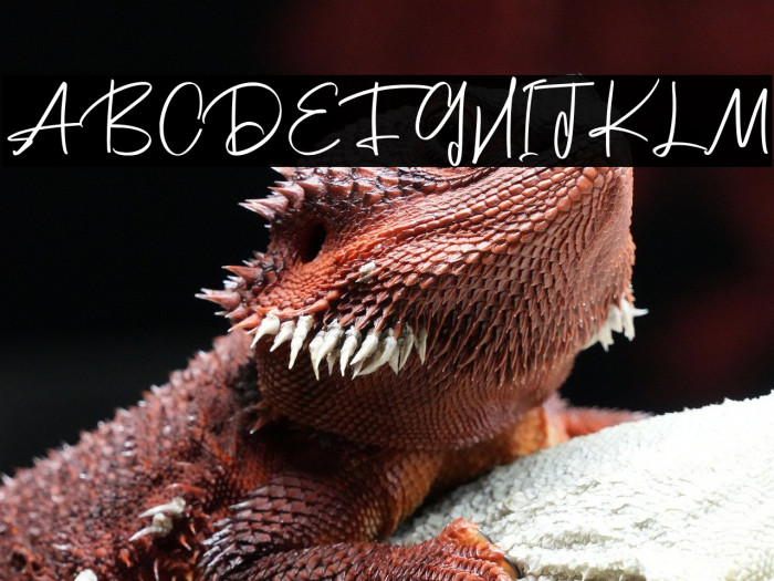 Scott Pilgrim Example 2