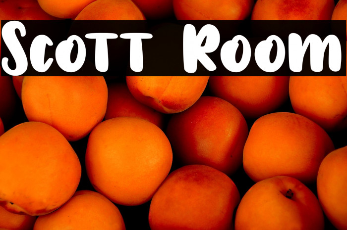 Scott Room Example 1