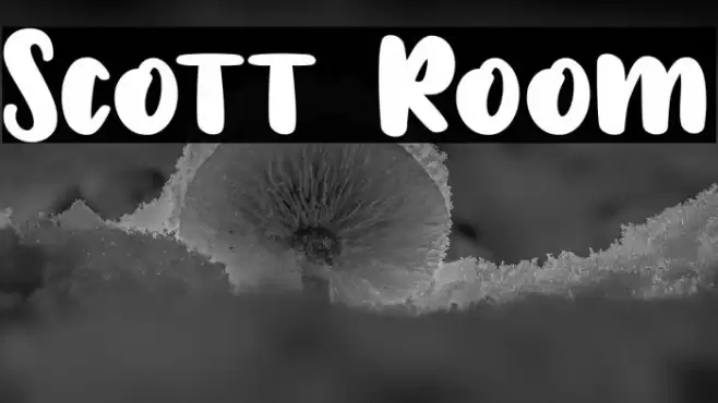Scott Room Font examples