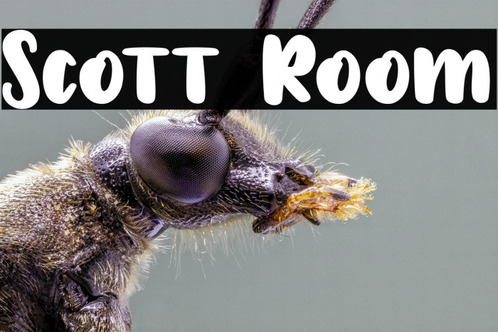 Scott Room Example 3