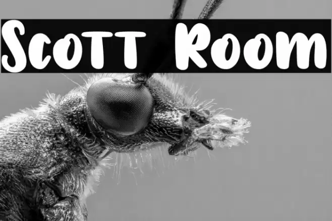 Scott Room Font examples