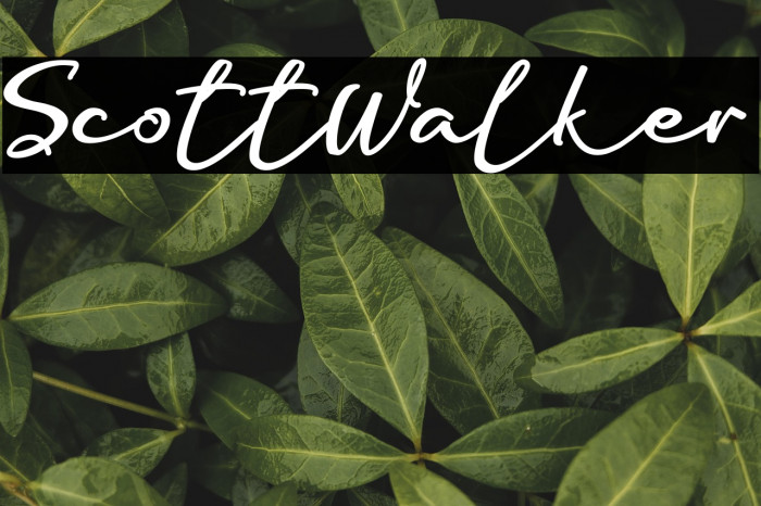 ScottWalker Example 1