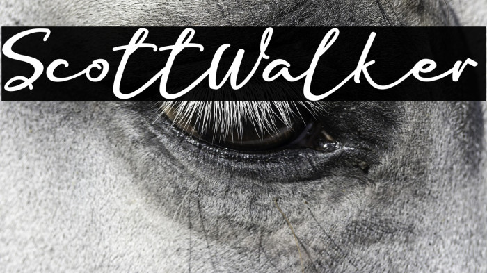 ScottWalker Example 2