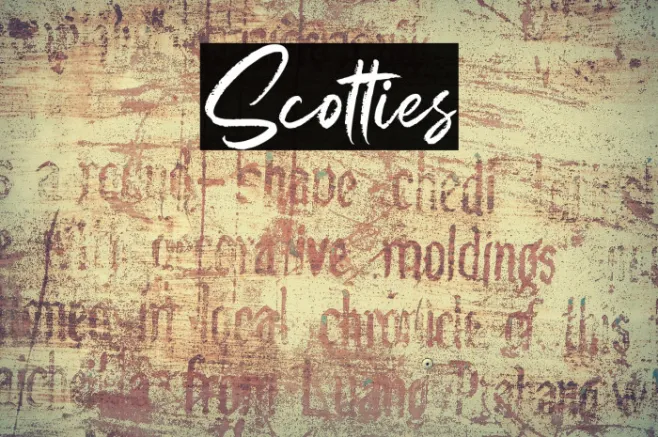 Scotties Example 3