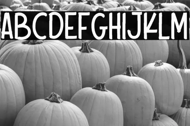 Scout Kind Font examples