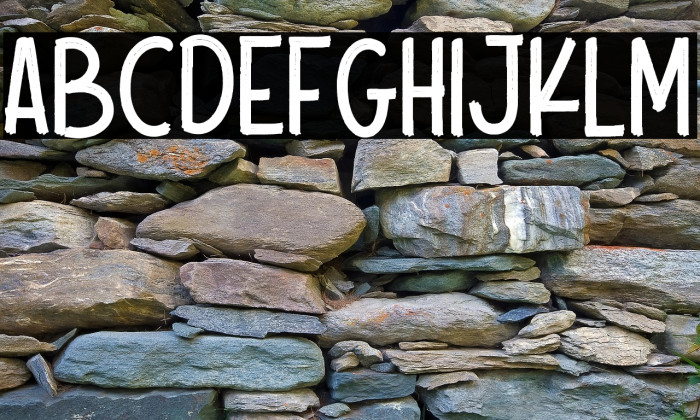 Scout Kind Example 3