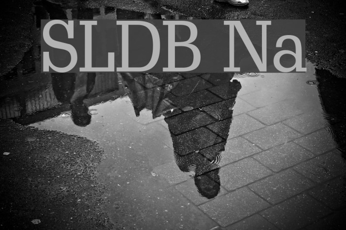 ScoutLightDB Normal Font examples
