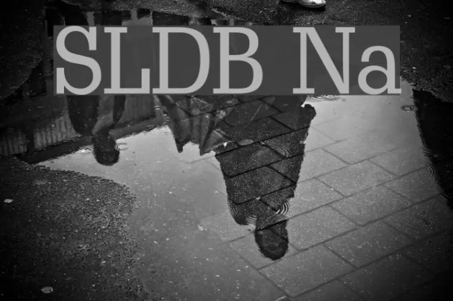 ScoutLightDB Normal Example 1