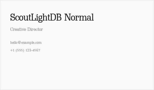 ScoutLightDB Normal Business Card