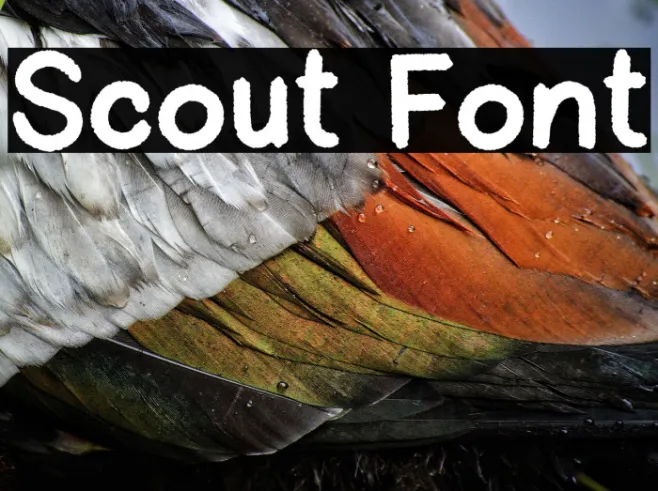 Scout Example 1