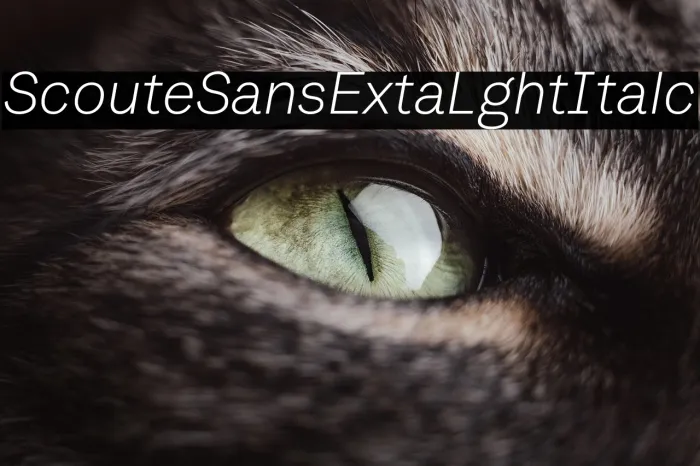 Scoutie Sans ExtraLight Italic Example 1