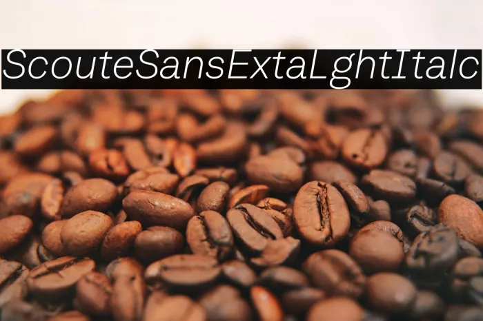 Scoutie Sans ExtraLight Italic Example 3