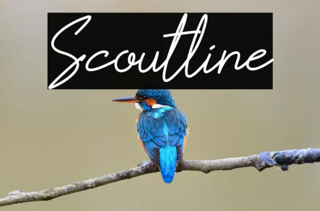 Scoutline Example 1